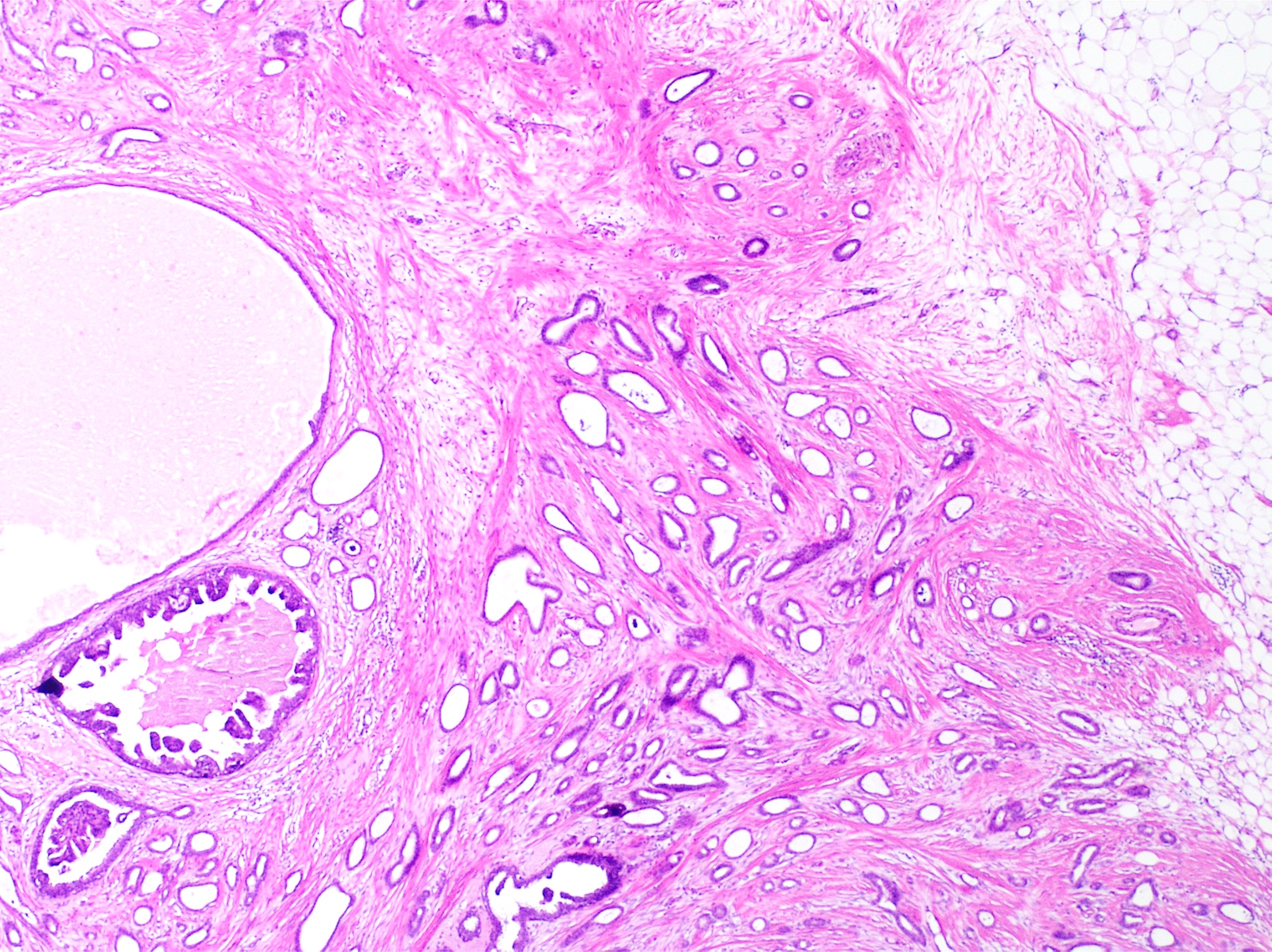 منتج عربي 02