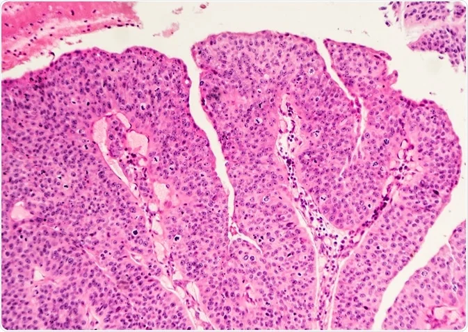منتج عربي 02