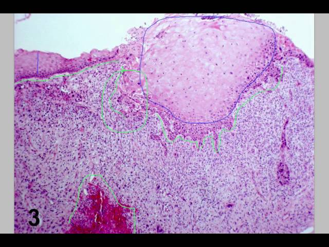 منتج عربي 02